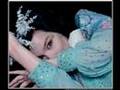 Bjork - Dull Flame of Desire (Ridu Mix)