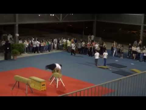 Parkour/Street Workout(demonstração)- Sarau Gímnico D. Sancho I