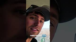 Download lagu Sharing it out - Barn Talk! mp3