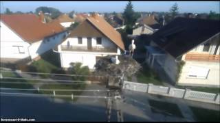 preview picture of video 'Kiskőrös, Hungary, 9 08 201  Morning.'