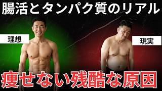【ダイエット初心者必見】筋肉に必要なタンパク質の吸収率を高める腸活｜内臓脂肪を落とし体脂肪を燃焼させる方法｜40代から痩せてメタボを解消する運動
