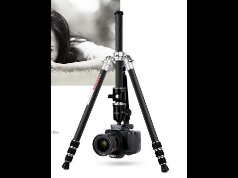 Beschoi Stativ Review: C254T Carbon