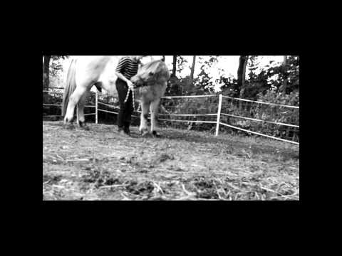 I will always love you ~Jerome