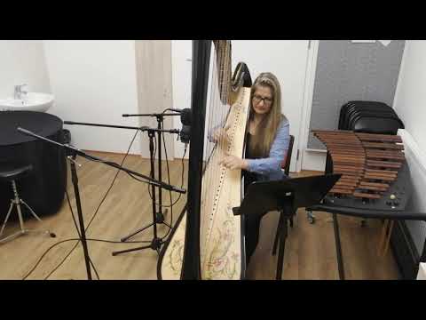 Wohnout - Vltavo ze zpěvníku (harfa cover)