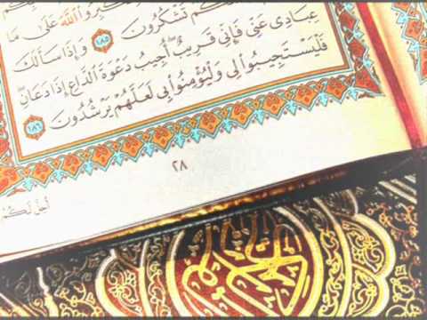 Abaza Madzid - Sjecanja