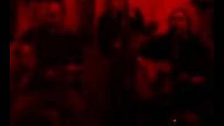 Ich und mein Tiger - Es bleibt alles wie es war?