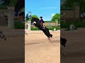 Horses Horse Starstablehorses Sso Starstableonlinehorses Starstableonline Starstable