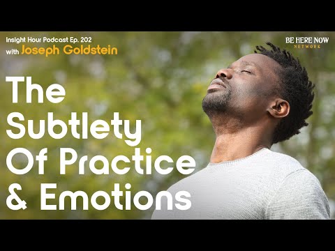 Buddhist Teacher Joseph Goldstein on Spiritual Practice & Emotions – Insight Hour Podcast Ep. 202