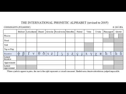 The IPA Consonants (Language Development 20)