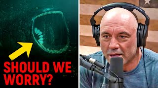 Joe Rogan REACTS To Bizarre Deep Sea Creatures That Have SHOCKED Scientists!