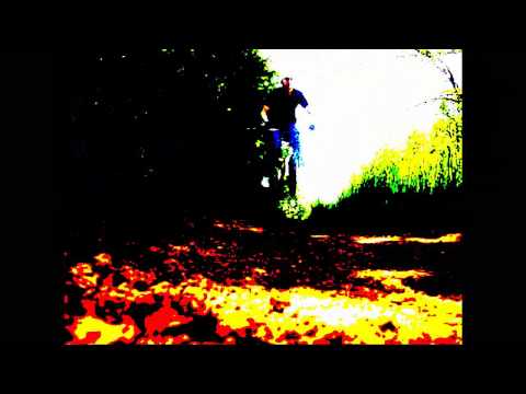 Donkey Rollers - Strike back