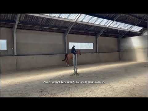 Ethereum EQ Z under the saddle