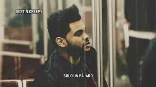 The Weeknd - The Birds Part 1 &amp; 2 (Subtitulado Español)