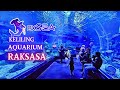 Wow Aquarium Raksasa dalam Mall⁉️ Keliling BXSea Oceanarium Bintaro XChange Mall Indonesia