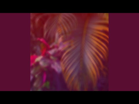 Video thumbnail for Pala