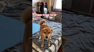 Download lagu 'Friends Through Fun Tail! Learn from Animal Stories ' #emotional #shorts #funny mp3