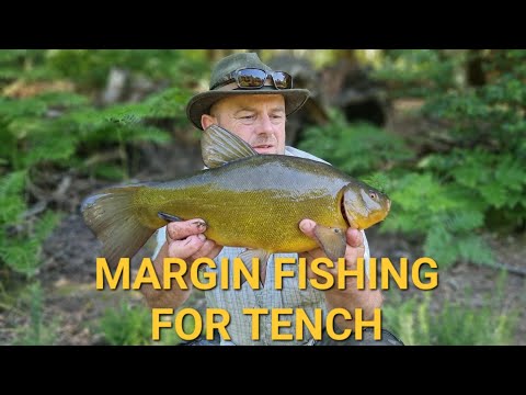 Margin Fishing For Tench.