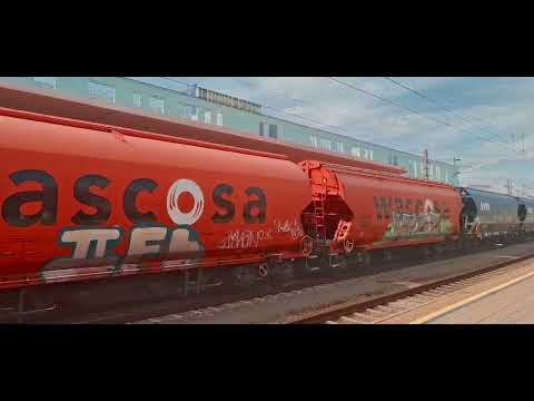 Durchfahrt der LTE 1216 910-0 und 193 959-4 mit einem Getreidezug in Linz Hbf am 12.7.2025