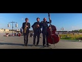 Jazz Chamber Orchestra (version trio): Honeysuckle Rose