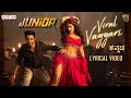 Viral Vayyari Kannada Lyrical Video Junior Movie Kireeti Sreeleela Radha Krishna DSP