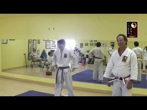 Breaklocks: Rear Strangle, Shoulder Throw – Shihan Robert Cusumano