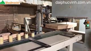 Dây Chuyền Máy Cưa Lọng Cnc chà nhám + sơn lót liên hoàn 2 công nhân
