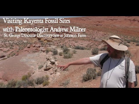 Exploring Kayenta Fossils Sites with Paleontologist Andrew Milner