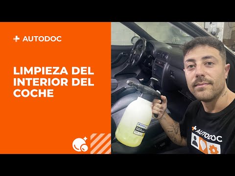Cómo realizar una limpieza a fondo del interior del coche por uno mismo | AUTODOC