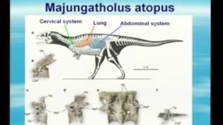 Dinosaur evolved to birds. fraude and misinformation,misinterpretation.  Dr Marc Surtees.