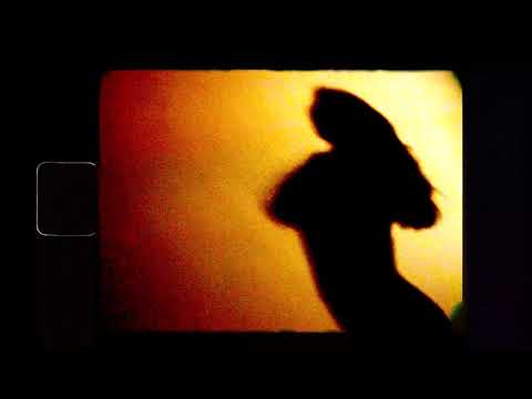 PRIVATE / UcaYOUNG x SUBJECT