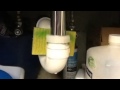 It Came From Beneath The Sink