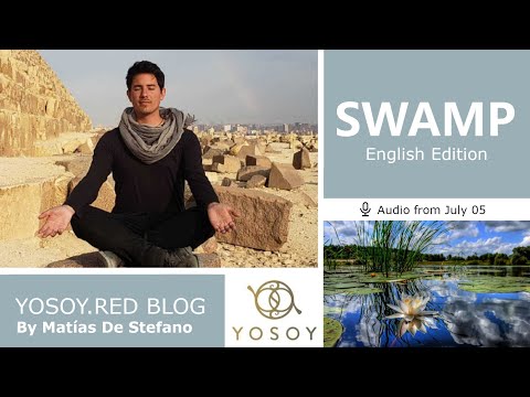 Day 336 - SWAMP - Matías De Stefano - YOSOY.RED BLOG: Sacral - Mental - Cancer, Read by Celena 07/05