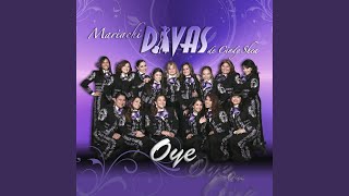 Hasta la Miel Amarga