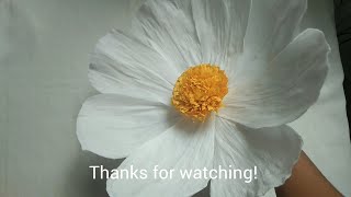 Step by step: Easy Giant Paper Flower Tutorial- How to make cosmos flower