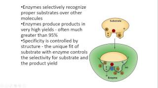 Enzymes 1