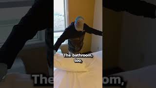 Cockroaches in a Hotel Room | #shorts