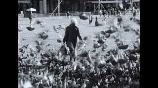 VR SEX – “In Great Detail”