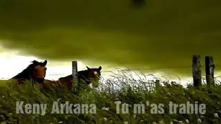Keny Arkana, ~ Tu m&#39;as trahie