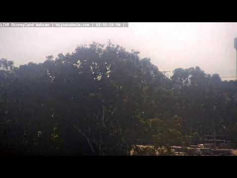 Live webcam of Disneyland Cam