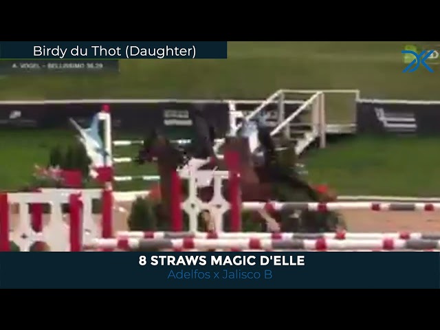 29 Straws Magic d'Elle