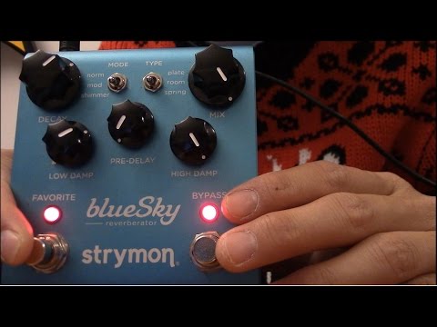 Strymon Blue Sky Reverberator: Review and Demo in Under 10 Minutes!