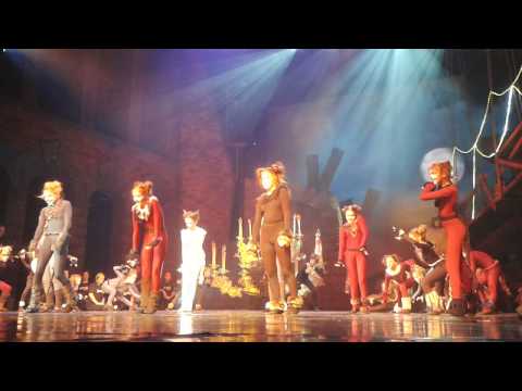 Macskák 1400. előadás - MMTI