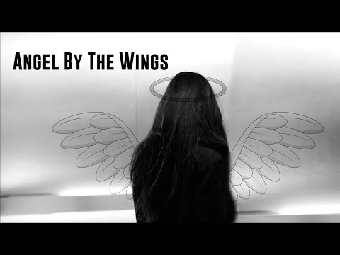 Tony & Ziva | Angel By The Wings | NCIS 17x11 (Tiva)