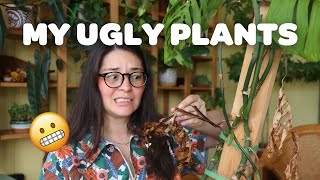 MY UGLIEST PLANTS | struggling houseplants... 🥲🪴