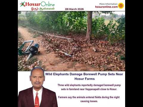 Wild Elephants Damage Borewell Pump Sets in Farms Near Veppanapalli
