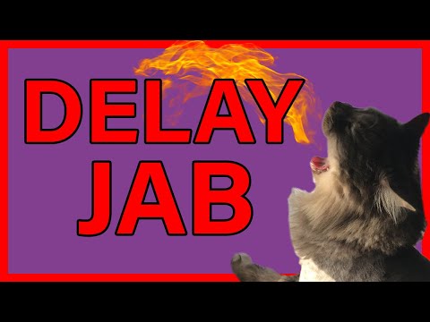 Delay jab on defense and delaying recordings in training mode.