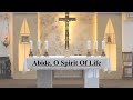 Abide, O Spirit Of Life