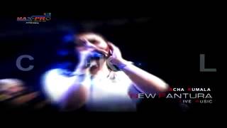 Download lagu Darah Biru~Acha Kumala || PANTURA Live Musik 2016 mp3 Download lagu Darah Biru~Acha Kumala || PANTURA Live Musik 2016 mp3