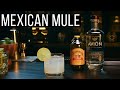 Mexican Mule | Avion Tequila x Bundaberg Ginger Beer | Mixology | How to recipe