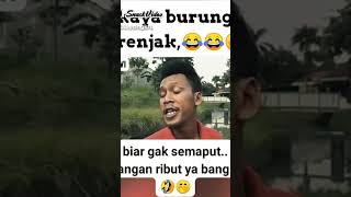 Download lagu #ddk#cingire#ngapak mp3